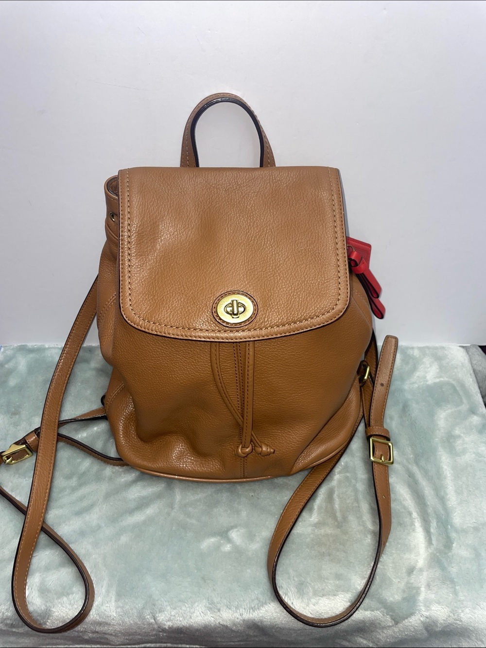 Coach ‘Park’ Leather Backpack